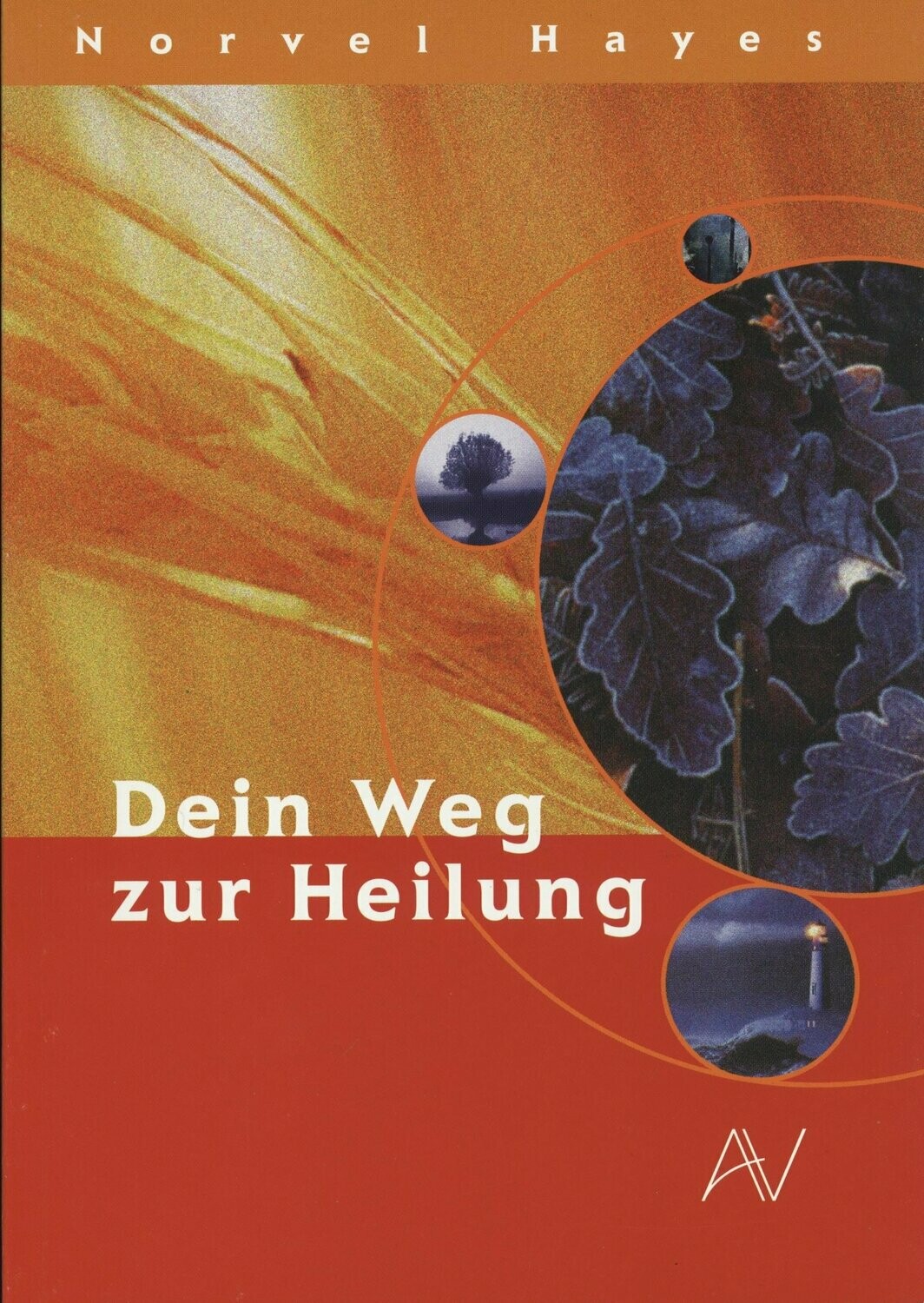 Dein Weg zur Heilung Dein Weg zur Heilung