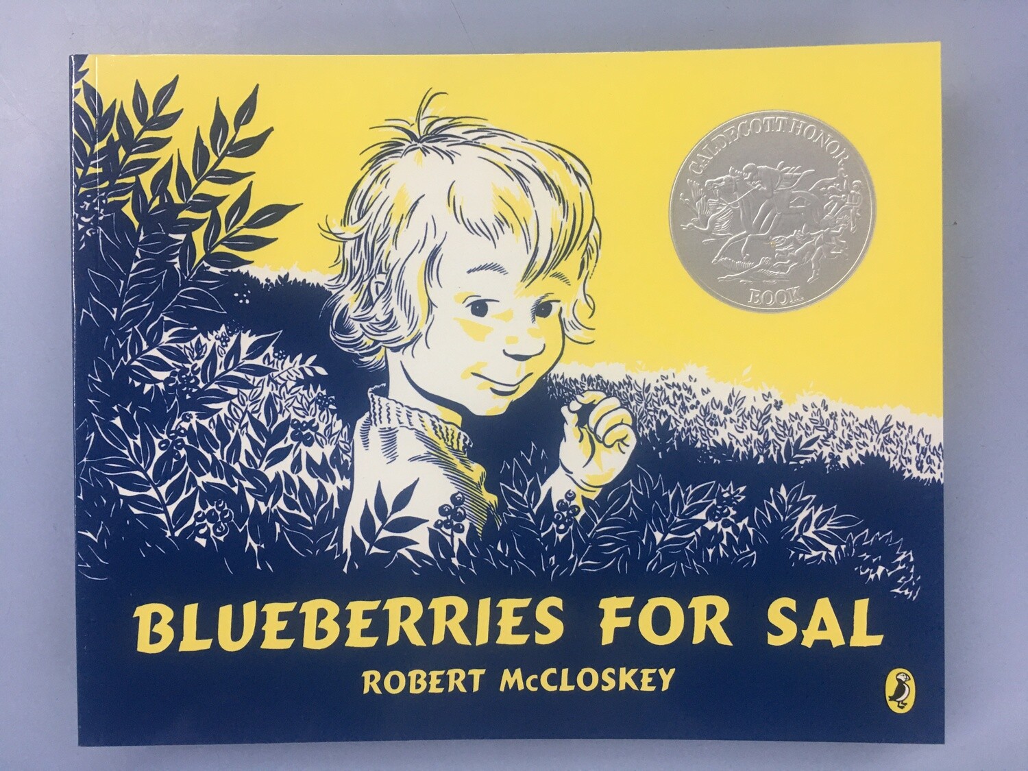 Blueberries for Sale