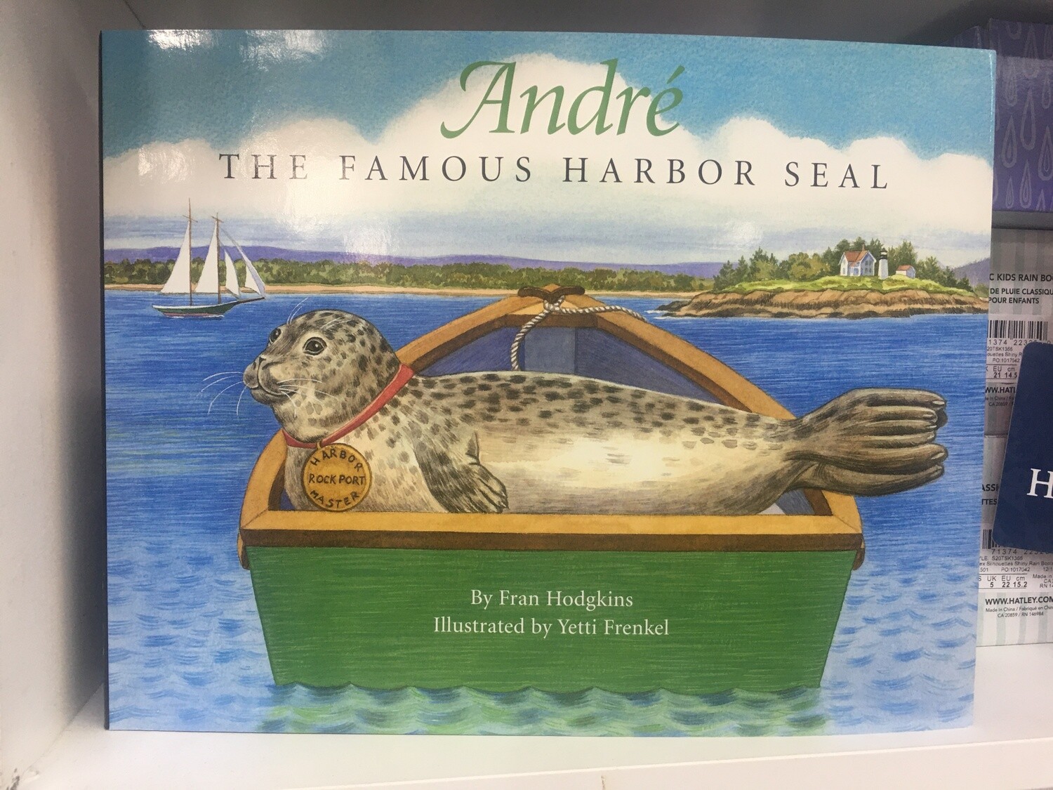 André, The Famous Harbor Seal