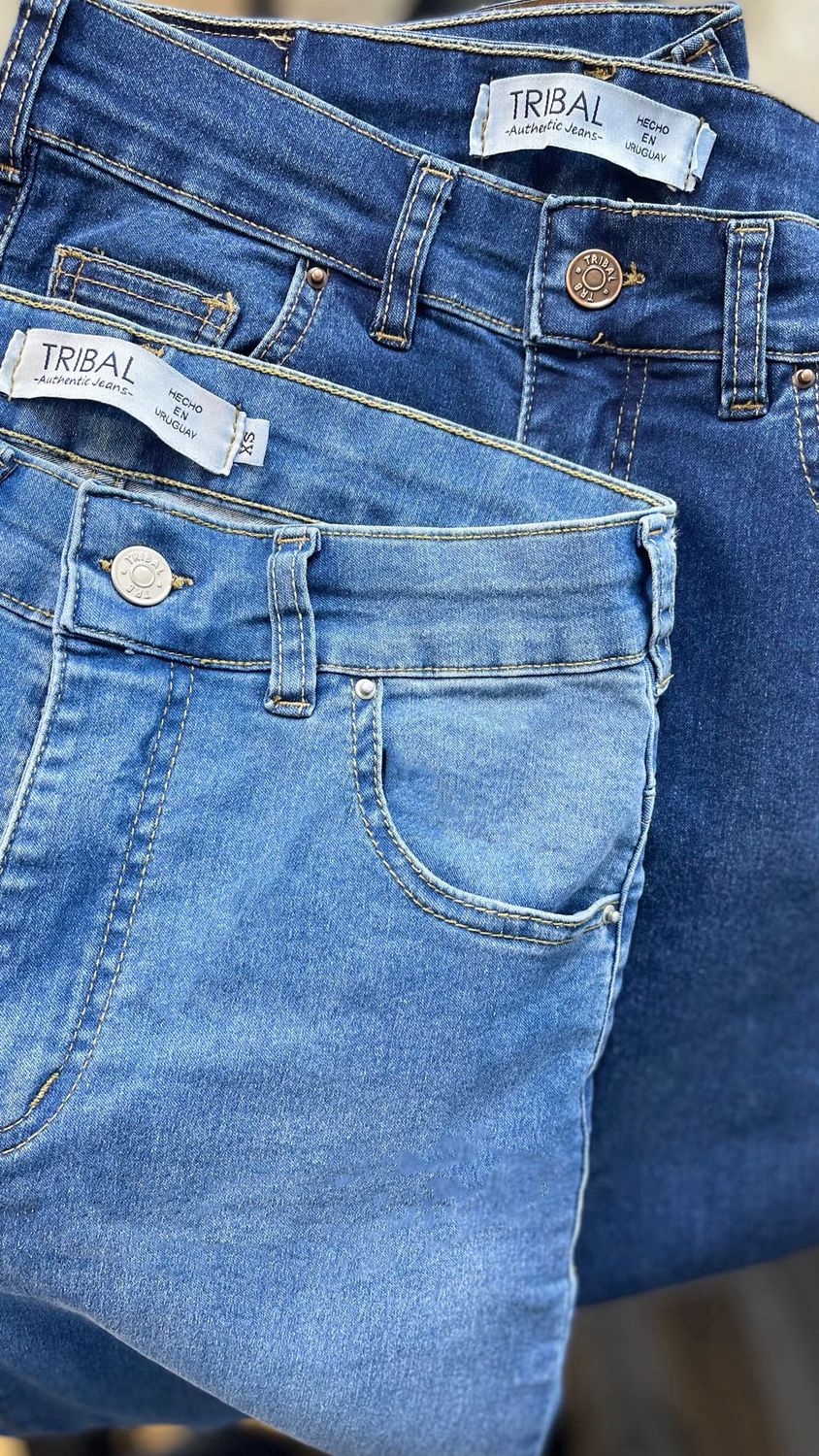 jean chupin  - GALES