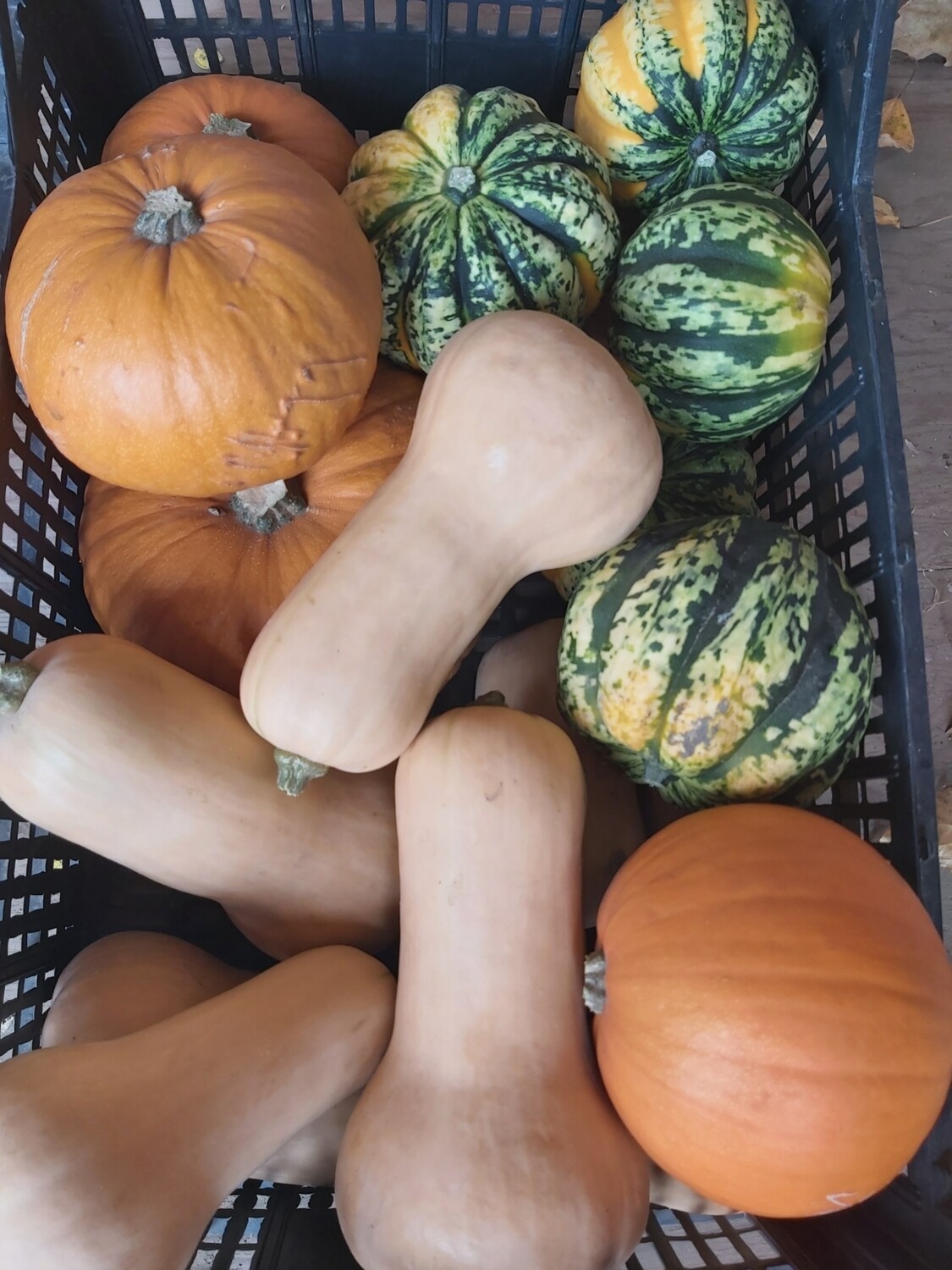 End of Season Harvest Box End of Season Harvest Box