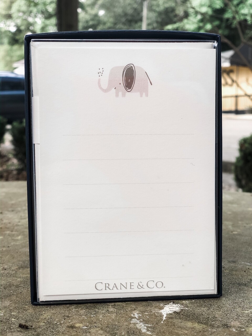 Crane Elephant Cards 10pk Crane Elephant Cards 10pk