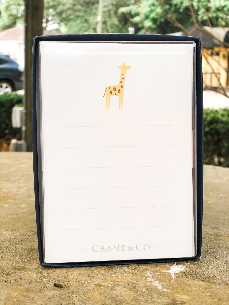 Crane Giraffe Cards 10pk Crane Giraffe Cards 10pk