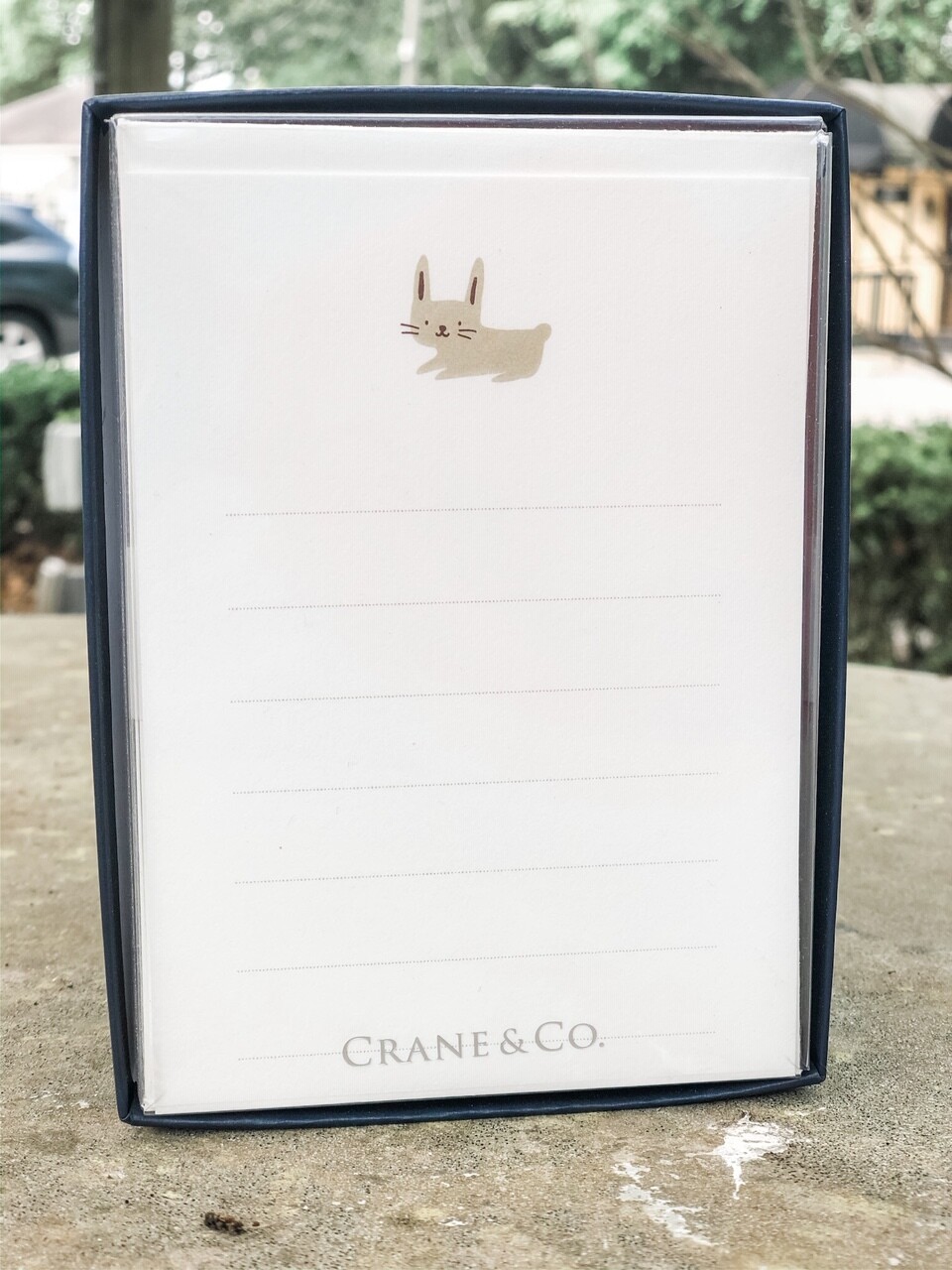 Crane Bunny Cards 10pk Crane Bunny Cards 10pk