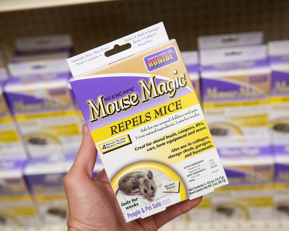 Mouse Magic Mouse Magic