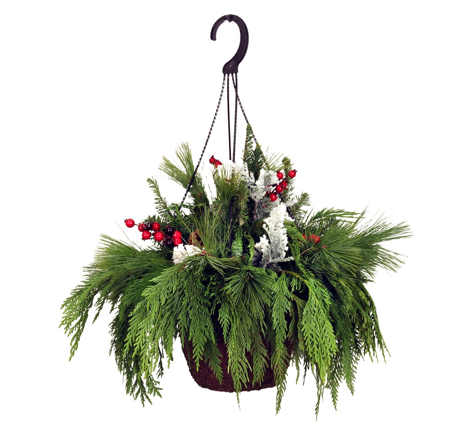 Evergreen Hanging Basket-Mixed 10 Evergreen Hanging Basket-Mixed 10