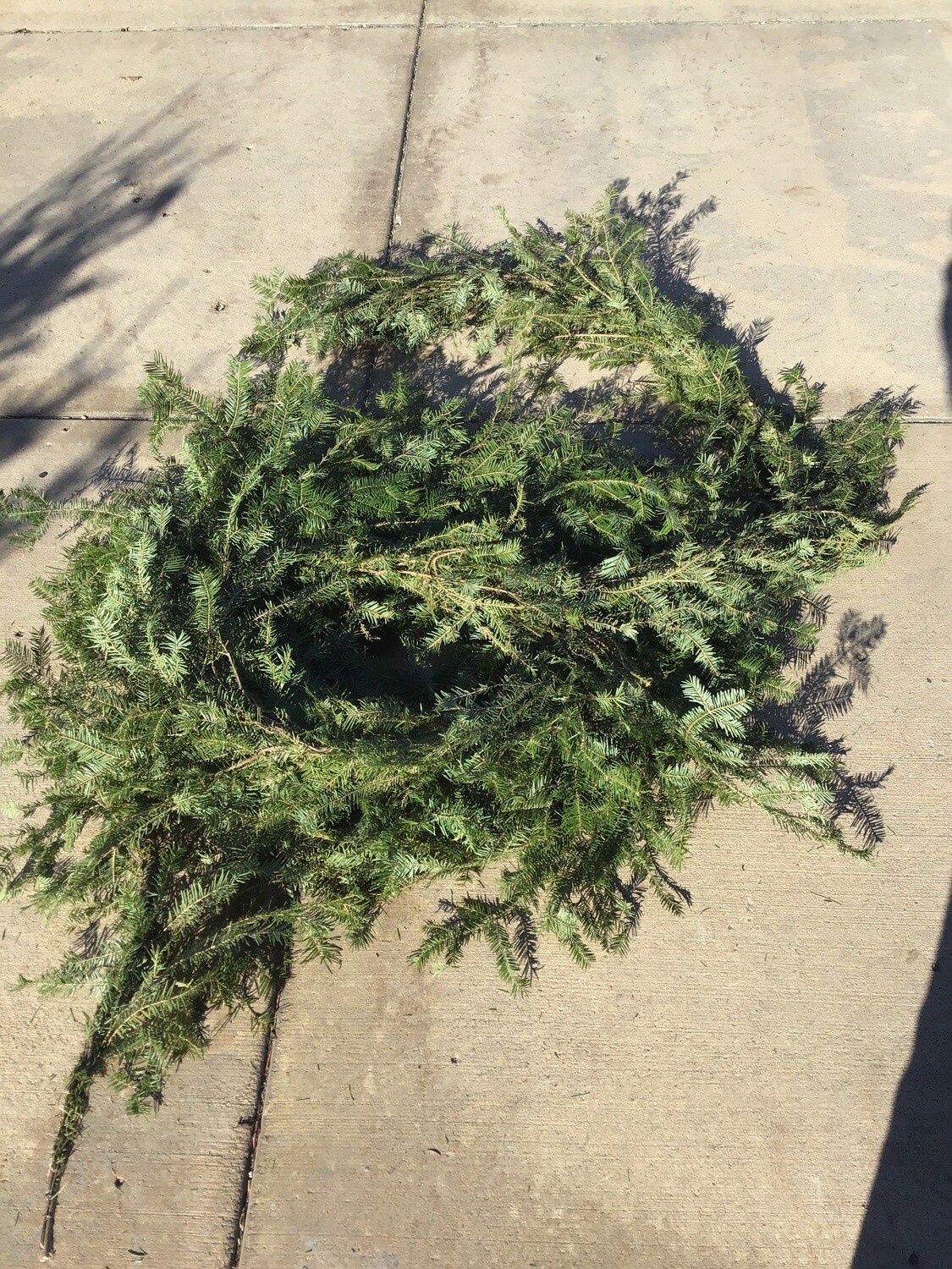 Garlands Live - Balsam Fir Garlands Live - Balsam Fir