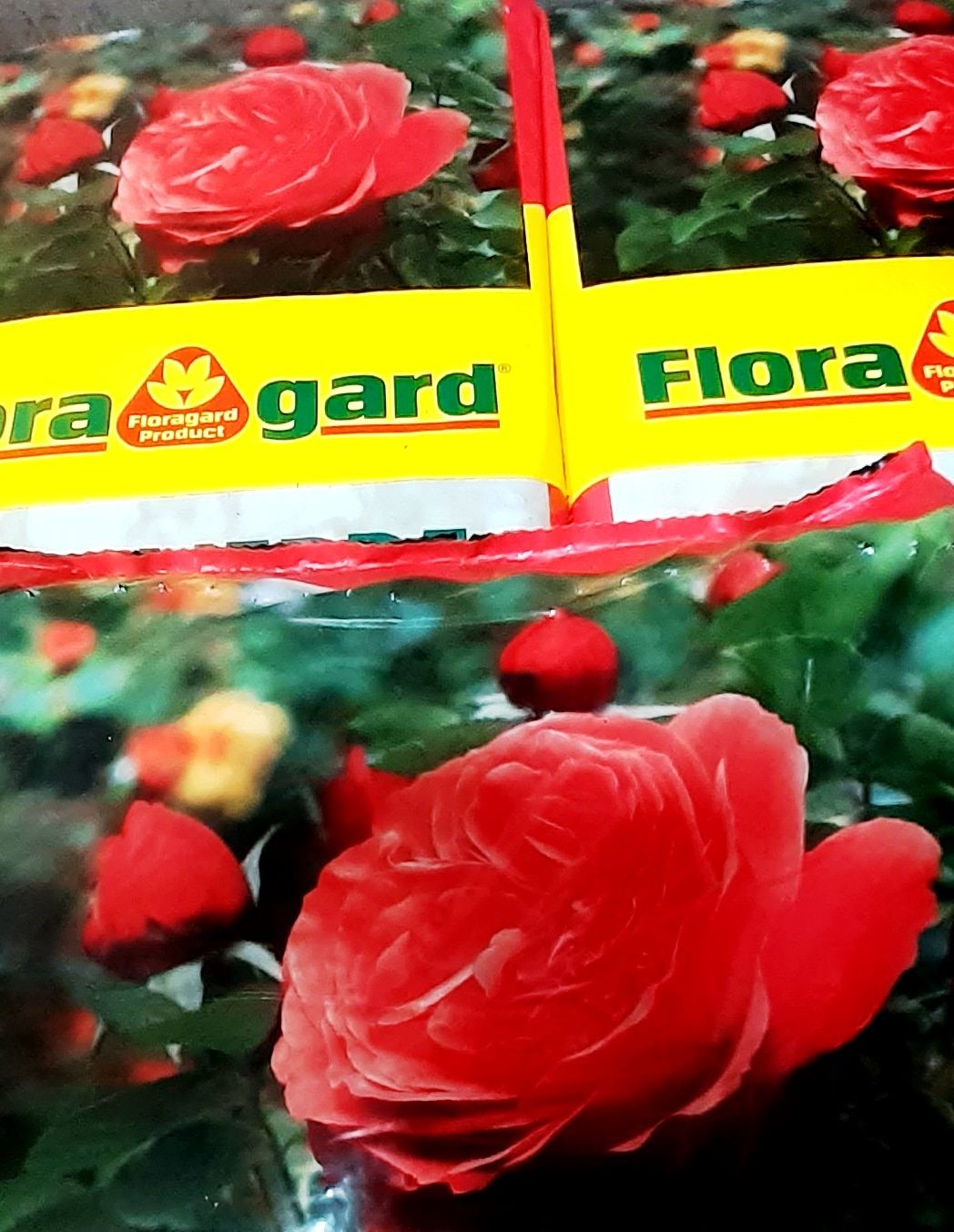 Floragard Substrate