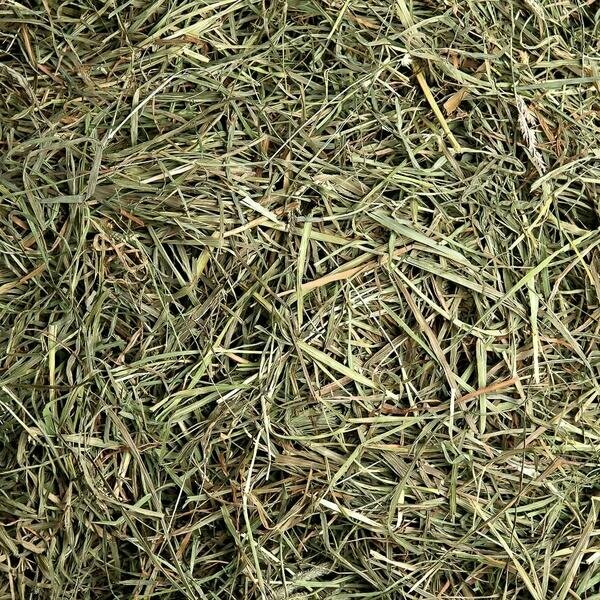 Meadow Hay Medium