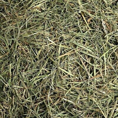 Meadow Hay Small