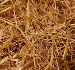 Bedding Straw Medium