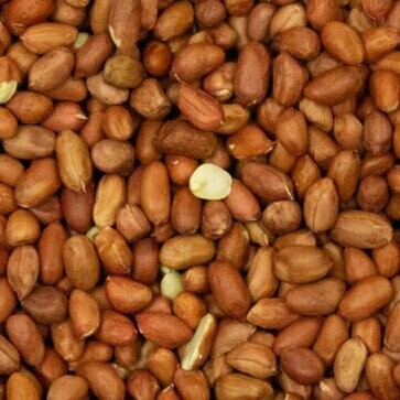 Wild Bird Peanuts 2KG