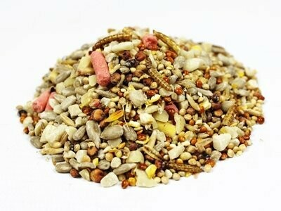 Wild Bird Garden Feast Mix