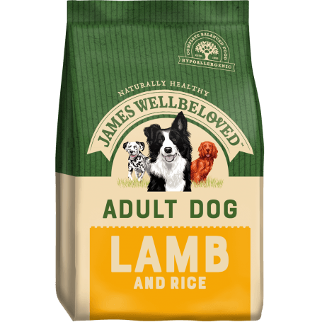 James Wellbeloved Adult Lamb 2kg
