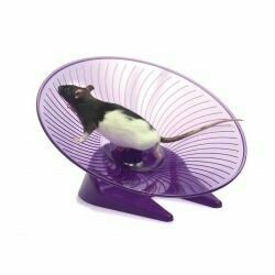 Flying Saucer Wheel 12"