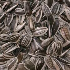 Striped Sunflower Seeds 500g