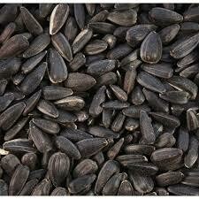 Black Sunflower Seeds 800g