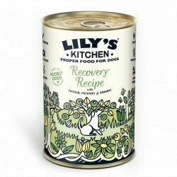 Lily's Kitchen Dog Recovery Recipe 400g