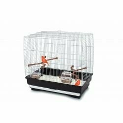 Imac Irene 3 Chrome Bar Bird Cage