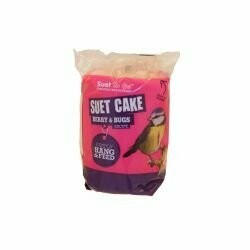 Suet To Go Berry and Bugs Hanging Cake