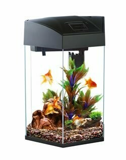 Hexagon fish hot sale tank