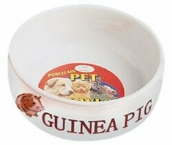 Ceramic Guinea Pig Bowl
