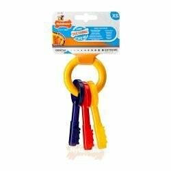 Nylabone Puppy Teeth Keys