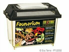 Exo Terra Faunarium 230 x 155 x 170mm / 9" x 6" x 6 1/2"