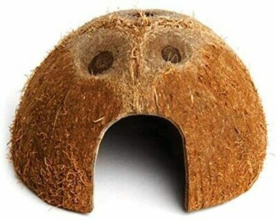 Komodo Coconut Den