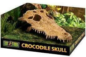 Exo Terra Crocodile Skull