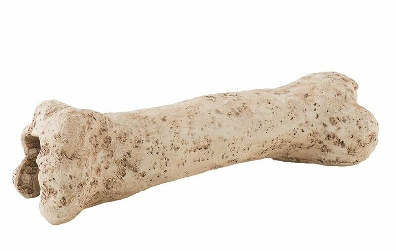 Exo Terra Dinosaur Bone