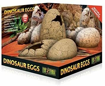 Exo Terra Dinosaur Eggs