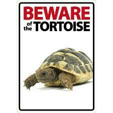 Beware Of The Tortoise Plastic Sign
