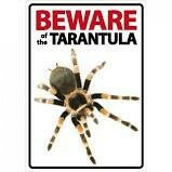 Beware Of The Tarantula Plastic Sign