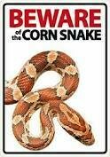 Beware Of The Corn Snake Plastic Sign