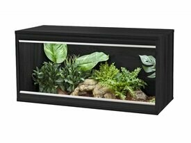 4ft Black Vivarium