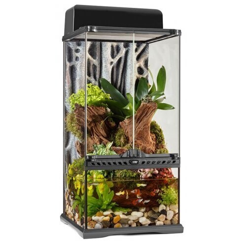 Exo Terra Glass Paludarium Mini X-Tall