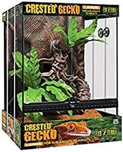 Exo Terra Crested Gecko Kit Tall, Large
