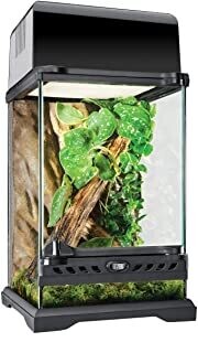Exo Terra Glass Natural Terrarium, Nano/Tall