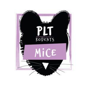 Frozen Mouse X-Large 30g +