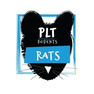 Frozen Rats Medium 160g +