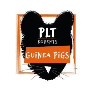 Frozen Guinea Pigs 200g +