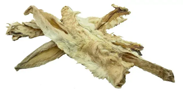 Rabbits Ear Single