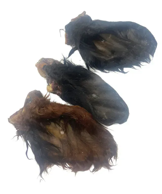 Beef Ears Single