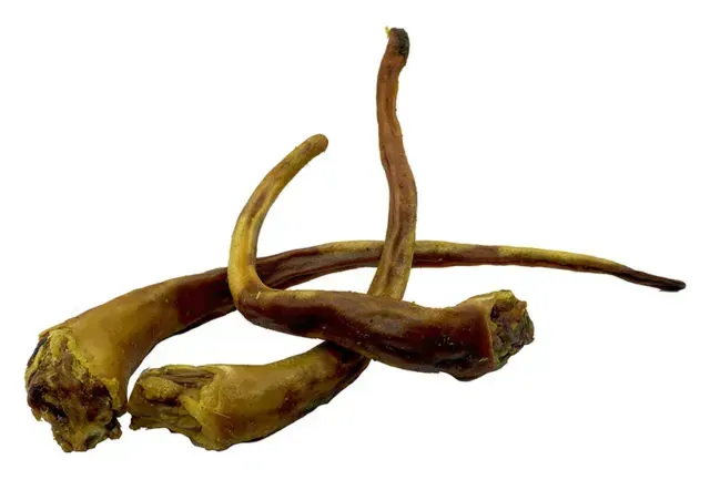 Buffalo Tails Single