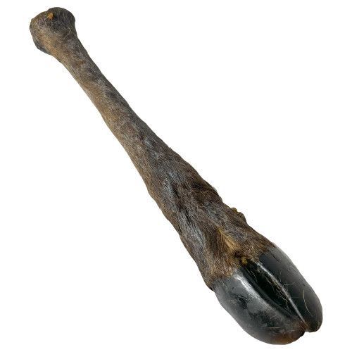 Deer Leg Single