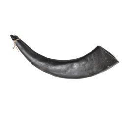 Holling's Buffalo Horn Jumbo