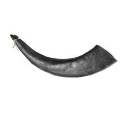 Holling's Buffalo Horn Standard