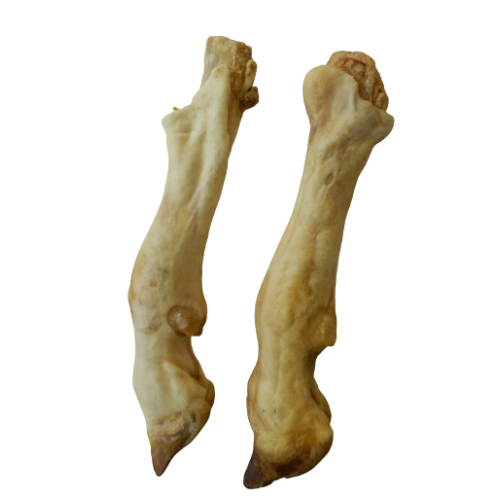 Lamb Leg Single