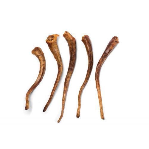 Pigs Tail Single